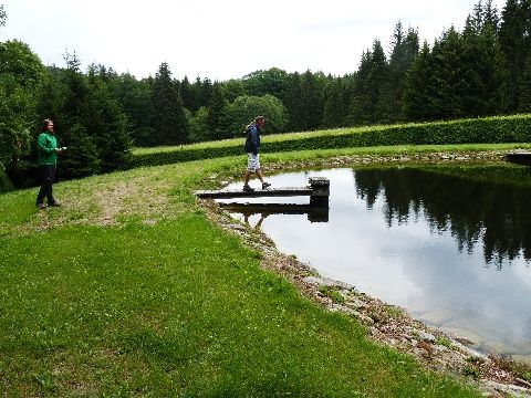 Foto 151